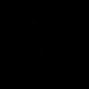 Meet your Posher, Zoey